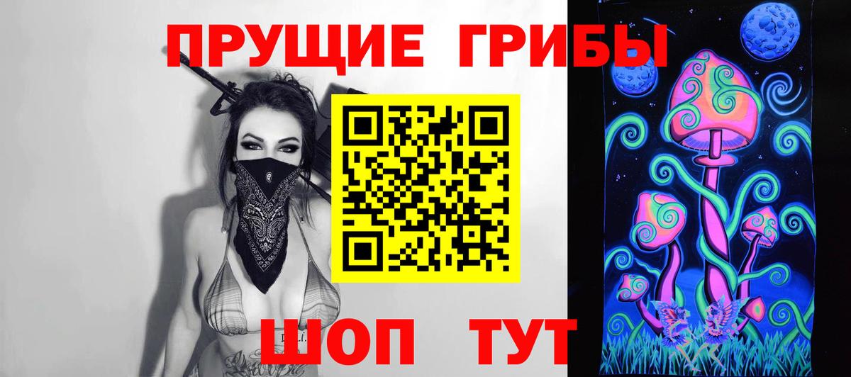 продажа наркотиков  Вход с VPN  Волгоград  Псилоцибиновые грибы мицелий 