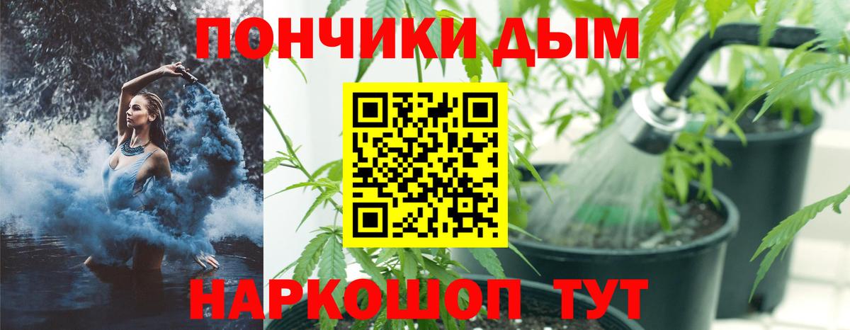 Марихуана MAZAR  Вход с VPN  Бошки Шишки Amnesia  Волгоград  Конопля семена 